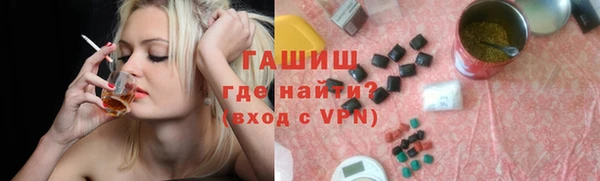 тгк Ельня