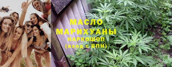 тгк Ельня