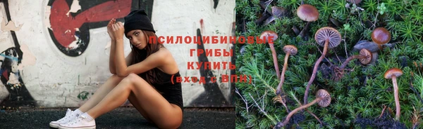ПСИЛОЦИБИНОВЫЕ ГРИБЫ Елизово
