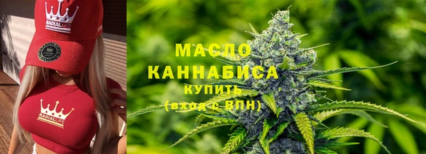 тгк Ельня