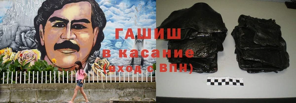 тгк Ельня