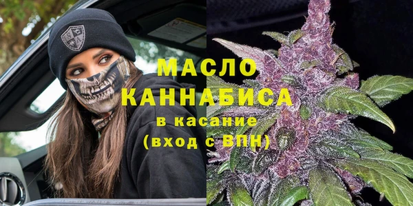 тгк Ельня